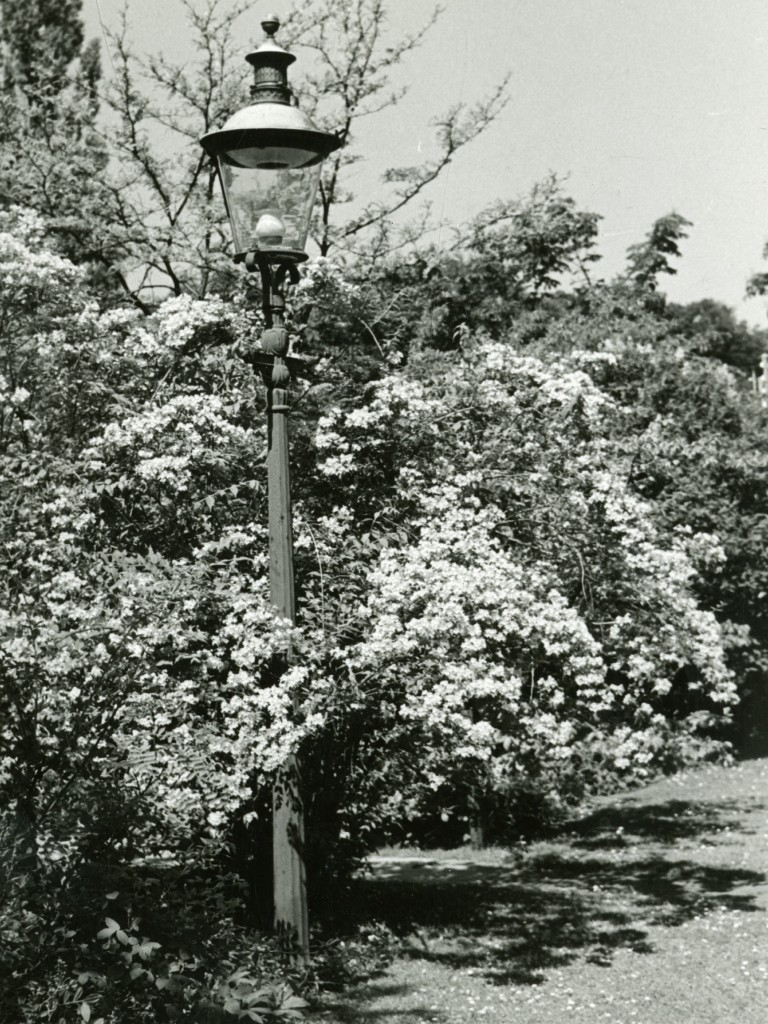 Den gamle gaslampe. Foto fra 1930. Foto:G.N.Brandt